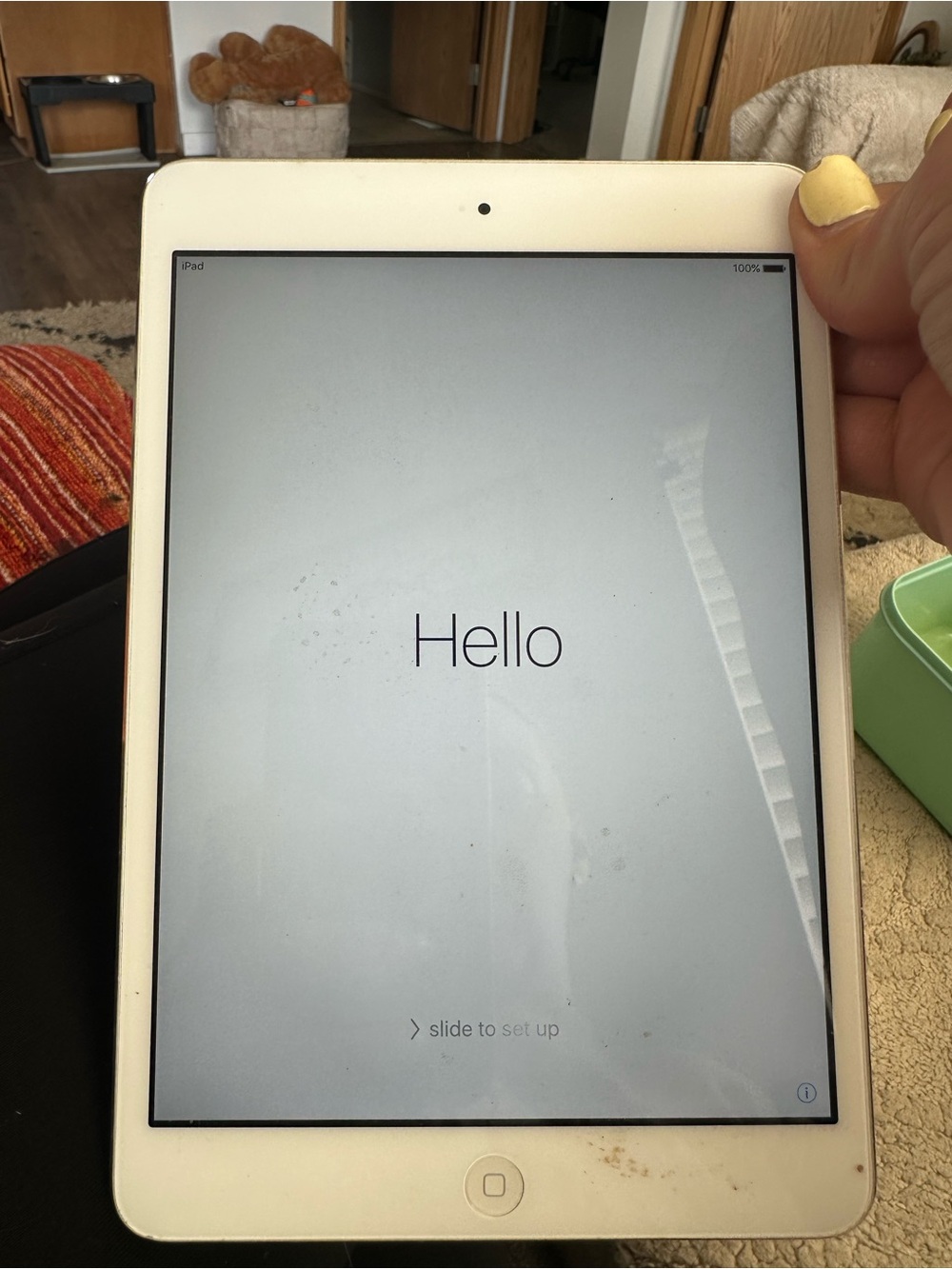 Apple iPad Tablet in White with Silver Trim